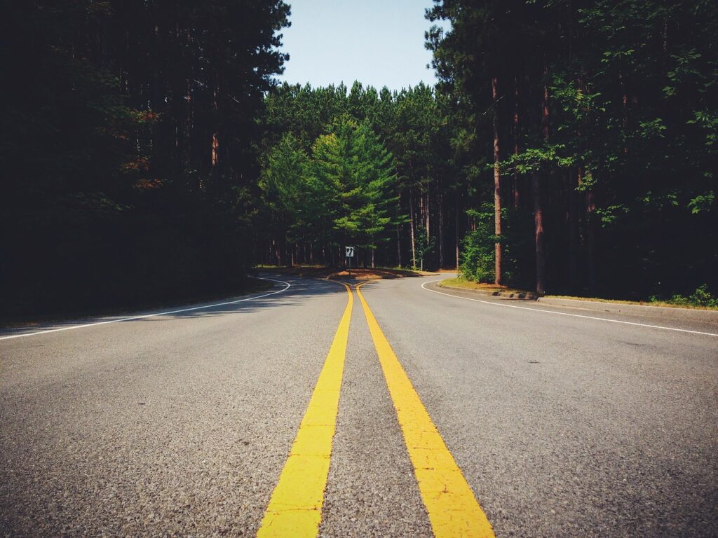 street, road, highway, junction, traffic, travel, asphalt, transportation, freeway, adventure, marking, line, forest, decision, nature, left, right